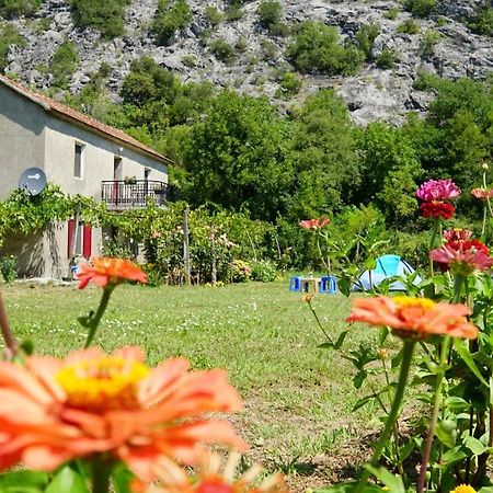 Camp Podkraj Otel Virpazar Dış mekan fotoğraf