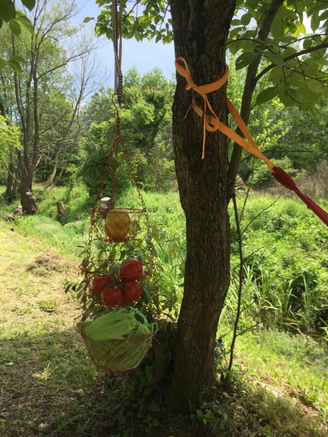 Camp Podkraj Otel Virpazar Dış mekan fotoğraf